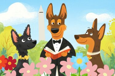 darcy hotel washington dc national dog day animal rescue puppy wedding dog friendly event pet friendly dc