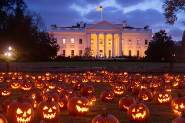 halloween events in washington dc 2024 spooky bar