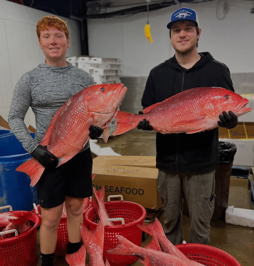 Screenshot 2025 08 30 103824