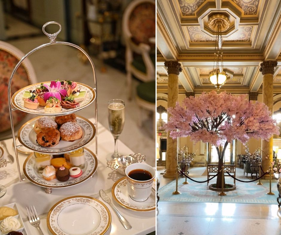 willard intercontinental cherry blossom dc cherry blossom afternoon tea washington dc best hotels cherry blossom season dc masaoki bar omakase washington dc